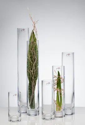 Produktbild von 6er Set Glasvasen, Blumenvase SOLIFLEUR H. 12cm D. 6cm rund Sandra Rich