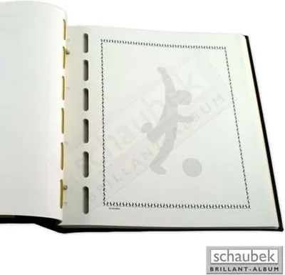 Produktbild von Schaubek Blankoblätter Sport - Paket zu 20 Blatt