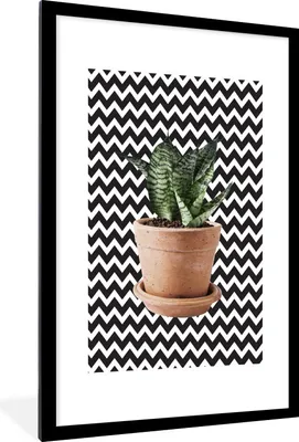 Produktbild von MuchoWow® MuchoWow® Gerahmtes Poster Pflanzen - Blumentopf - Schwarz - Weiß 60x90 cm - Poster mit zchwarzem Bilderrahmen - Dekoration - Wandposter Wohnzimmer - Hochwertig