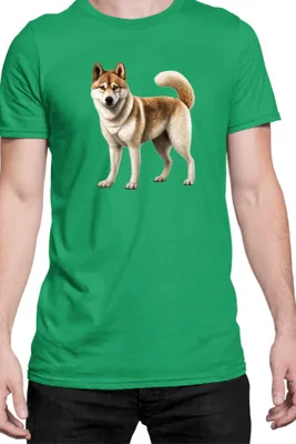 Obrázok produktu pre Mužské Tričko Dogs Breeds Akita Dog Breed 005, Man S / zelená