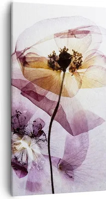 Produktbild von Bild auf Leinwand - Leinwandbild - blume sommer natur - 55x100cm - Wand Bild - Wanddeko - Leinwanddruck - Bilder - Kunstdruck - Wanddekoration - Leinwand bilder - Wandkunst - PA55x100-3821