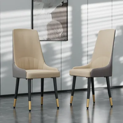 Two modern dining chairs are shown in a well-lit room with a painting on the wall.