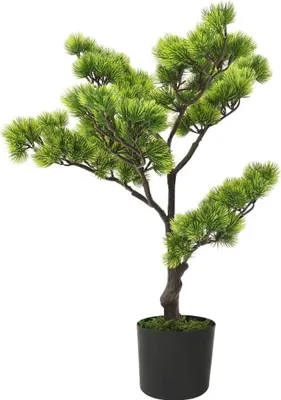 Image de Bonsaï de pin artificiel avec pot 60 cm Vert