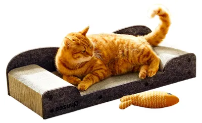 Produktbild von Kratzbrett für Katzen, 66 cm groß, Kratzpappe mit Liegefläche, recycelbare Wellpappe und langlebigem Filz, Grau