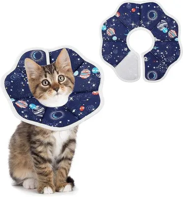 Image de Ibenzoa® Collier de protection souple pour chats et petits chiens, réglable, en microfibre respirante, idéal après une opération ou une blessure