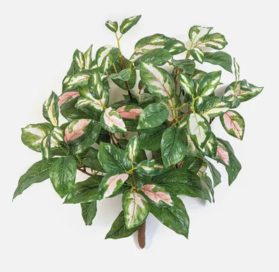 Produktbild von artplants.de Kunstpflanze Porzellanblume OLEANA auf Steckstab, grün-weiß-rosa, 40cm - Künstliche Hoya