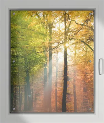 Produktbild von Wallario Lichtschutzbild, Dekorativer Sichtschutz Sonnenschutz 76 x 93 cm mit Motiv: Sonnenuntergang im Herbstwald - Verdunklung ohne Bohren