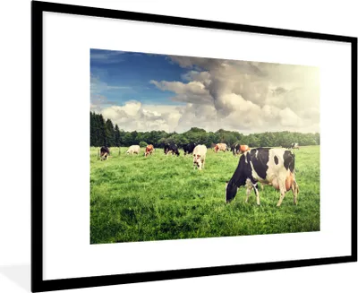 Produktbild von MuchoWow® Gerahmtes Poster Kühe - Weide - Natur - Tiere - Landschaft 90x60 cm - Poster mit Schwarzem Bilderrahmen Wandposter Rahmen Foto Bilder - Wanddekoration - Fotos