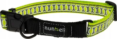 Produktbild von Großes reflektierendes Hundehalsband mit Schnalle L (40-60 cm)