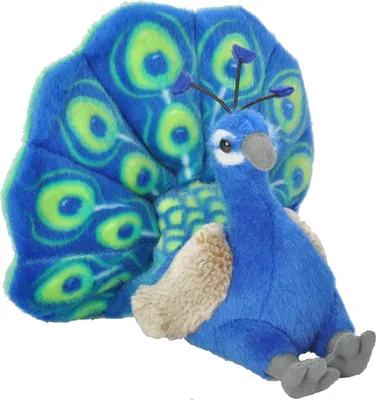 A plush toy peacock sitting down with its tail feathers spread.