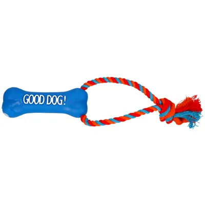 Immagine prodotto di DINGO corda con osso blu - giocattolo per cani - 13 cm