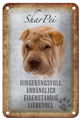 Produktbild von Blechschild Spruch 12x18cm Shar Pei Hund Schild
