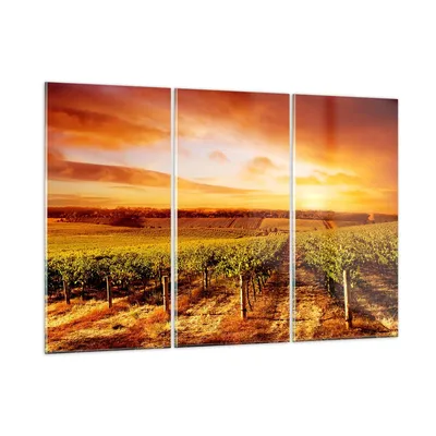 Produktbild von Bilder auf glas - Weinberg Aussicht Landschaft - 165x110cm - Glasbilder - Wandbilder - Kunstdruck - zum Aufhängen bereit - Wanddekoration aus Glas - Glas Bilder - Wandbild auf Glas - GCE165x110-0170