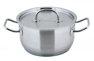Produktbild von PRO-X Fleischtopf 20 Ø 3,0l Edelstahl 18/10 Carl Schmidt Sohn 043179