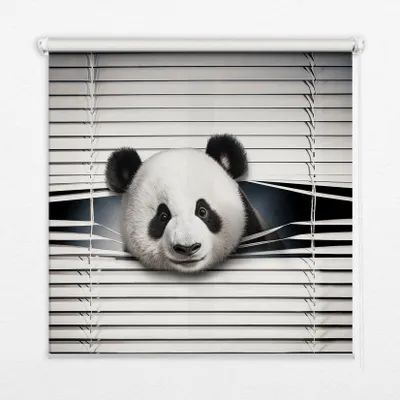 Produktbild von Seitenzug-Rollo Fensterrollo Jalousie - Thermo-Rollo Verdunkelungsrollo - 140x180 cm - Panda