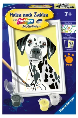 Immagine prodotto di Ravensburger - Pittura per numeri 23755 - Cane carino - Bambini dai 7 anni in su