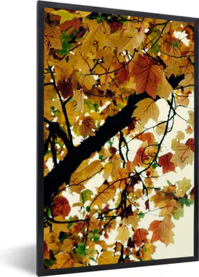 Produktbild von MuchoWow® Gerahmtes Poster Bäume - Herbstblätter - Natur 60x90 cm - Poster mit Schwarzem Bilderrahmen Wandposter Rahmen Foto Bilder - Kunst