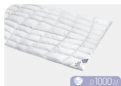 Produktbild von Schlafstil Bettdecke Daunendecke D 1000 Medium 200 x 200 cm