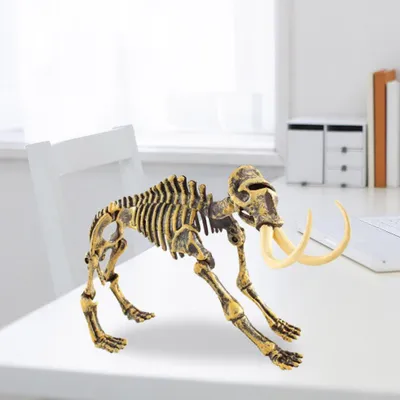 Obrázek produktu pro Dinosauří kostra Modelová hračka Dětská vzdělávací vzdělávací hračka #2