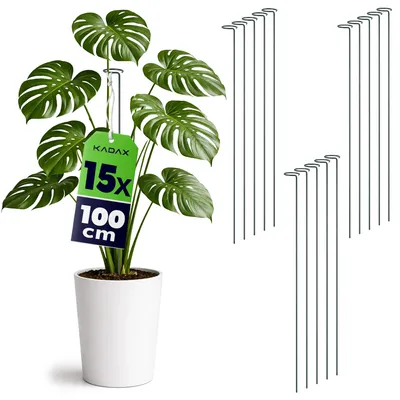Zdjęcie produktu dla Podpory do roślin KADAX 100 cm, zestaw 15 sztuk, stalowe podpory do kwiatów, podpory do roślin doniczkowych, metalowe pręty do stabilizacji łodyg i kwiatów