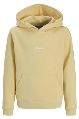 Productafbeelding van JACK & JONES Jjesoho Sweater met capuchon, model Mni
