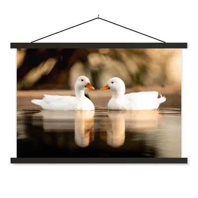 Produktbild von MuchoWow® Textilposter Ente - Weiß - Tiere - Wasser - Vogel - Enten 60x40 cm mit schwarzem Rahmen - Hölzernes