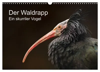 Produktbild von Der Waldrapp - Ein skurriler Vogel (Wandkalender 2027 DIN A3 quer), CALVENDO Monatskalender