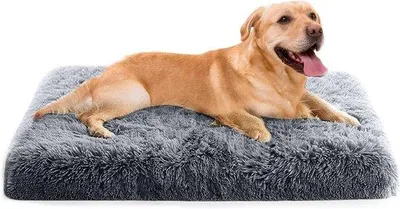 Productafbeelding van Hondbed Extractable - Wasbare Mand voor Honden - Comfortabel Kussen met Anti-slip Onderkant - Geschikt voor Huisdieren