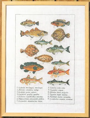Zdjęcie produktu dla Zestaw do haftu krzyżykowego Permin „Ryba”, wzór do liczenia, 41 x 56 cm, 70-6408