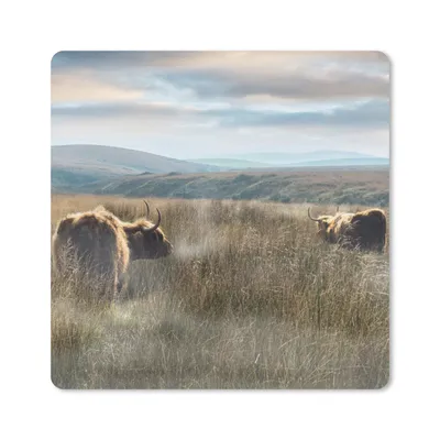 Produktbild von MuchoWow® Mauspad Mousepad Schottische Highlander - Nebel - Gras 20x20 cm - Mousepads - Maus Mat - Pad - Mausunterlage - Desk Mat - Bureauartikeln
