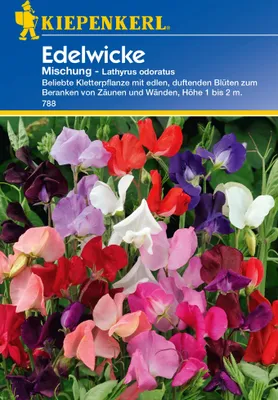 Zdjęcie produktu dla Mieszanka Lathyrus PG C