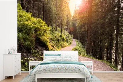 Produktbild von MuchoWow® Fototapete für Wohnzimmer oder Schlafzimmer Wandtapete Vinyl Motivtapete Wald - Baum - Grün - 330x220 cm - Fototapeten