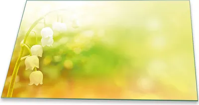 Produktbild von Herdabdeckplatte Glaskeramikfeld Spritzschutz Glas Universal Deko 80x52 Blumen Gelb
