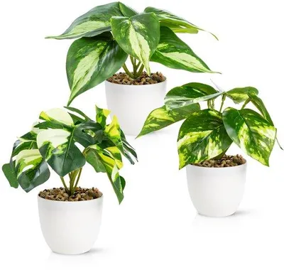 Immagine prodotto di Set di piante artificiali, 3 pezzi, 18 cm, melamina