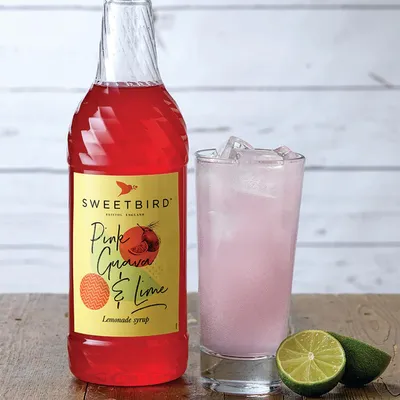 Produktbild von Limonadensirup Sweetbird Pink Guava & Lime Lemonade, 1 l