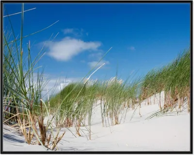 Produktbild von Wallario Wandbild Düne am Strand unter blauem Himmel, Größe: 40,30 x 50,30 cm, Poster mit schwarzem Aluminiumrahmen