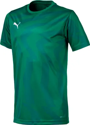 Obrázek produktu pro Trička Puma Cup 70377605