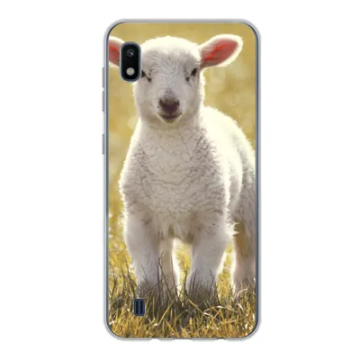 Produktbild von MuchoWow® Handyhülle Schutzhülle Hülle für Samsung Galaxy A10 Schafe - Gras - Sonne Silikon Softcase Handy Hülle - Schutzhülle