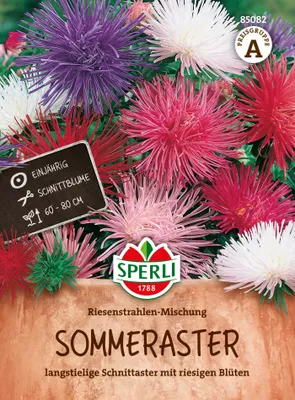 Produktbild von SPERLI Asternsamen Riesenstrahlen-Mischung 100 Pflanzen