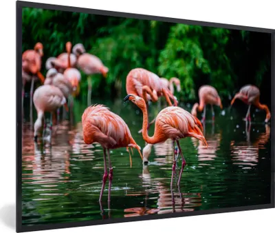 Produktbild von MuchoWow® Gerahmtes Poster Flamingo - Tropisch - Vogel - Wasser - Rosa 90x60 cm - Poster mit Schwarzem Bilderrahmen Wandposter Rahmen Foto Bilder - Fotorahmen - Foto-Plakat