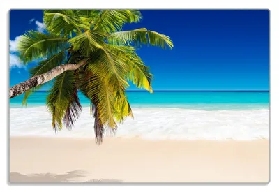 Produktbild von Wallario Frühstücksbrettchen aus Glas 20 x 30 cm mit rutschfesten Füßen, Motiv Südseestrand in der Karibik mit Palme