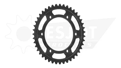 Image de Esjot Kettenrad 525 44Z Stahl Schwarz