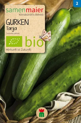Produktbild von Gurke Tanja Freiland Salatgurke - Saatgut für zirka 10 Pflanzen