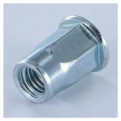 Produktbild von Muttern Nieten Flachkopf M5x14 GOFIX ACPSH30 Verzinkt
