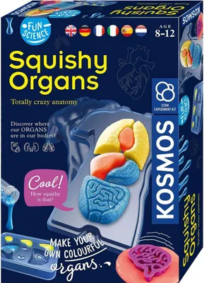 Produktbild von KOSMOS Fun Science Glibber-Organe / Squishy Organs, Experimentierkasten, Kinder, Mehrsprachig, 616816
