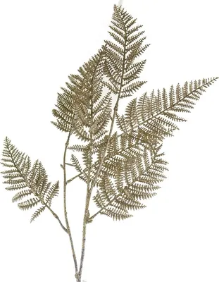 Produktbild von CREATIV home Weihnachtsdeko Farnzweig goldfarben 78 cm - Kunststoff