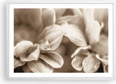 Produktbild von Gerahmtes Poster - Weißer Rahmen - Blumen Boho ohne - 70x50 cm - Wand Bild - Wanddeko - Wandbilder - Kunstposter - Wandposter - Bilderrahmen - Bilder - Kunstdruck - Wanddekoration - P2WAA70x50-4767