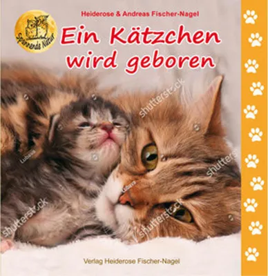 Image de Ein Kätzchen wird geboren