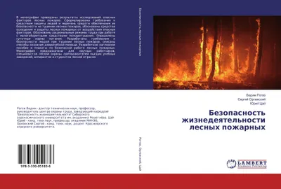 Produktbild von Bezopasnost' zhiznedeqtel'nosti lesnyh pozharnyh