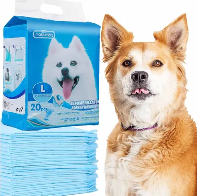 Produktbild von Welpenunterlagen, Trainingspads Für Hunde, Super Saugfähig, Pet Pad, Welpen Unterlagen L 60X90 Cm 20 Stück